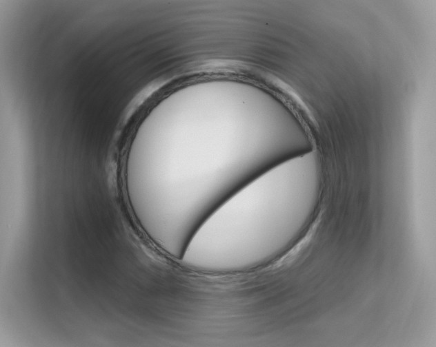 X0000112421066200908141041