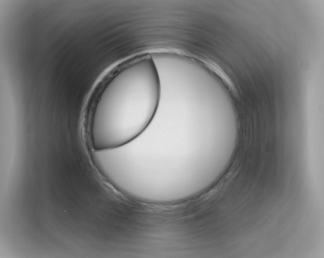 X0000112421068200908141041