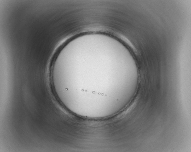 X0000112421071200908141041