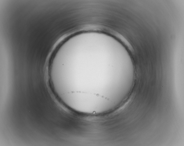 X0000112421075200908141041