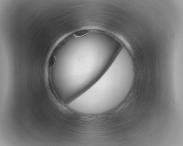 X0000112421076200908141041
