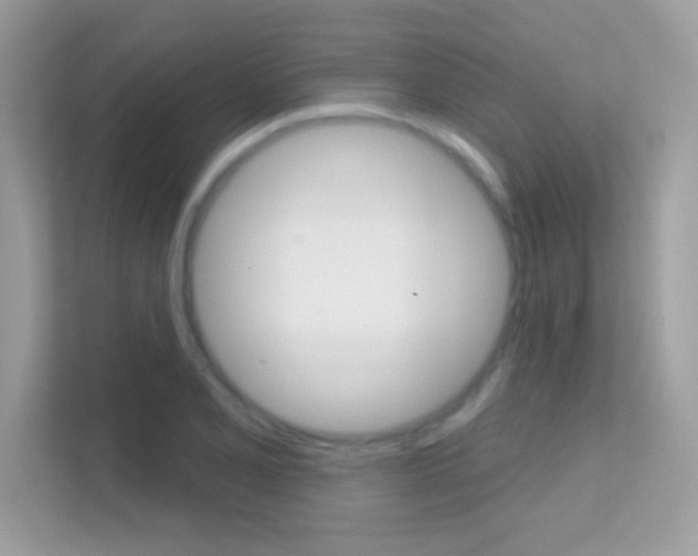 X0000112421077200908141041