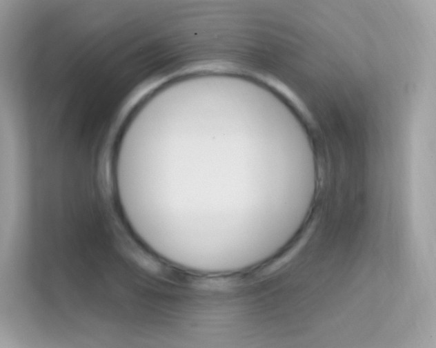 X0000112421078200908141041