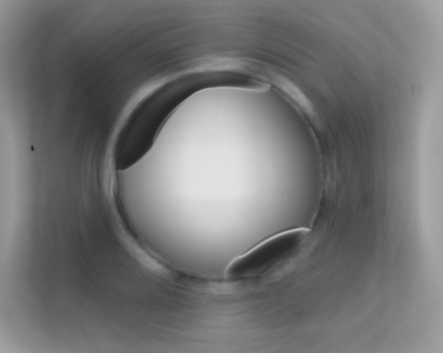 X0000112421080200908141041