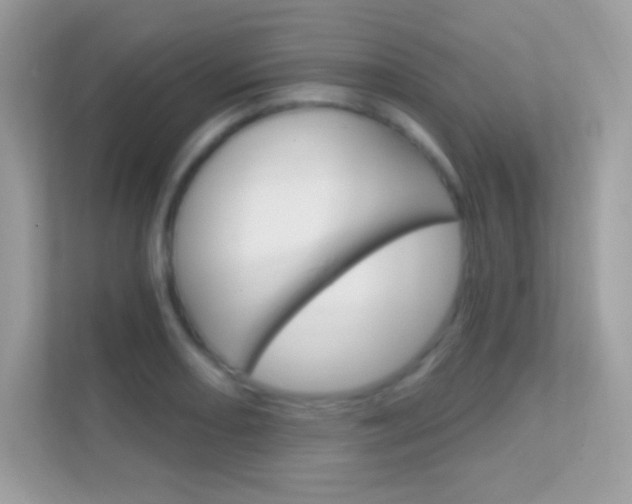 X0000112421082200908141041
