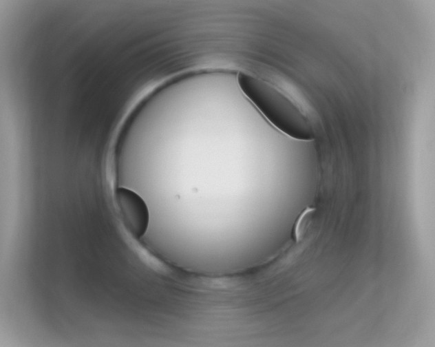 X0000112421084200908141041