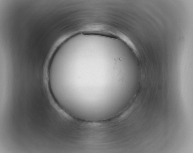 X0000112421088200908141041