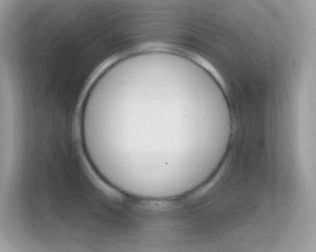 X0000112421090200908141041