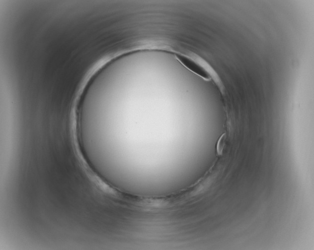X0000112421096200908141040