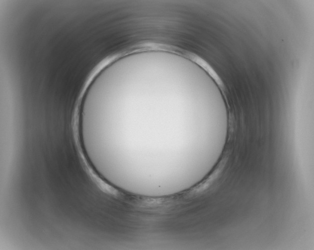 X0000112421098200908141040