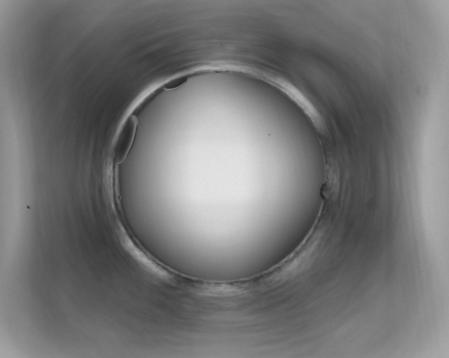 X0000112421100200908141040