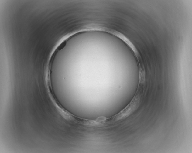 X0000112421101200908141040