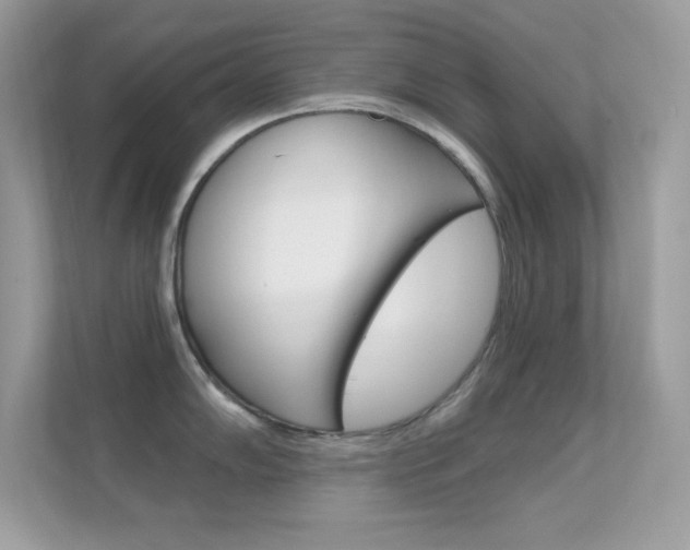 X0000112421102200908141040