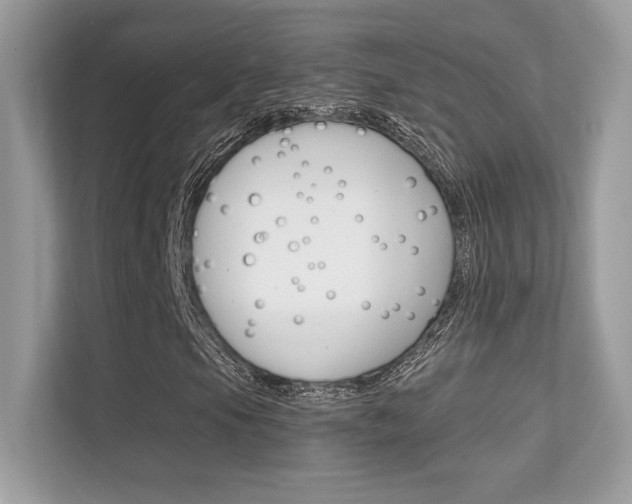 X0000112421105200908141040