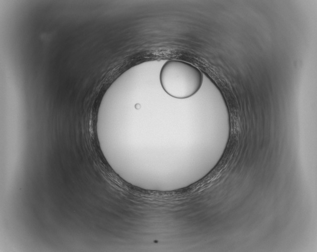 X0000112421106200908141040