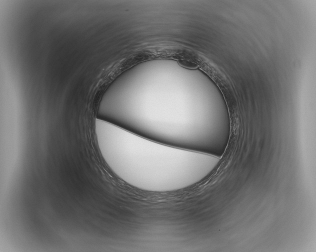 X0000112421108200908141040