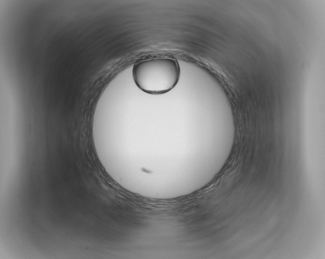 X0000112421110200908141040