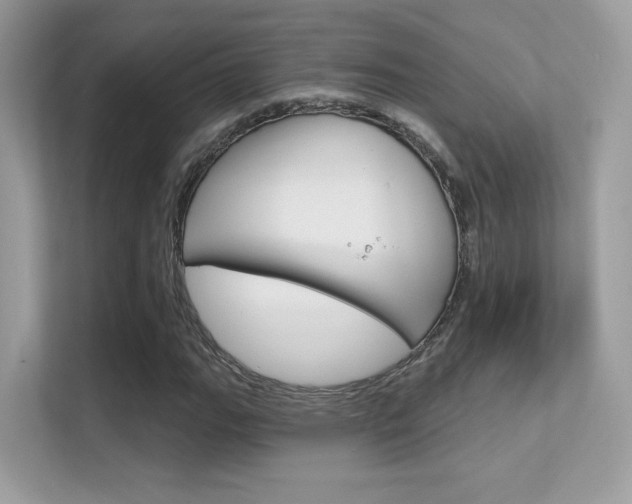 X0000112421111200908141040