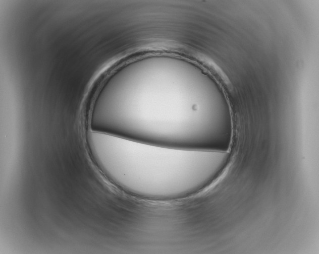 X0000112421114200908141040