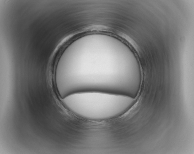 X0000112421115200908141040