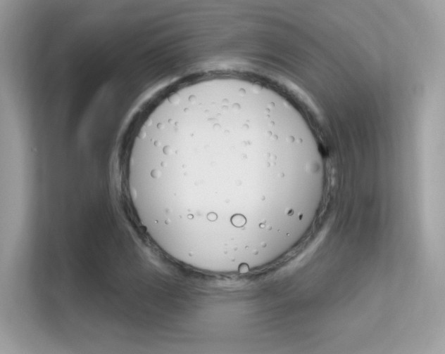 X0000112421117200908141040