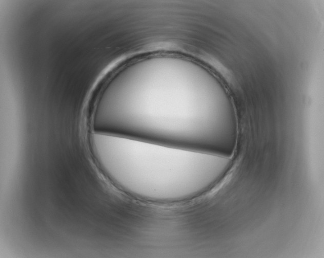 X0000112421118200908141040