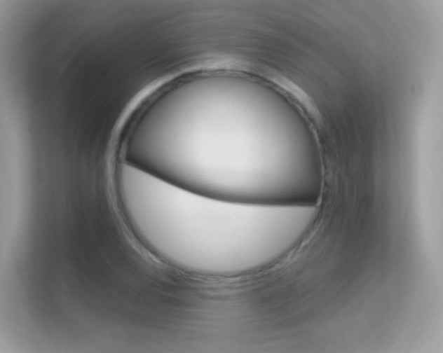 X0000112421120200908141040