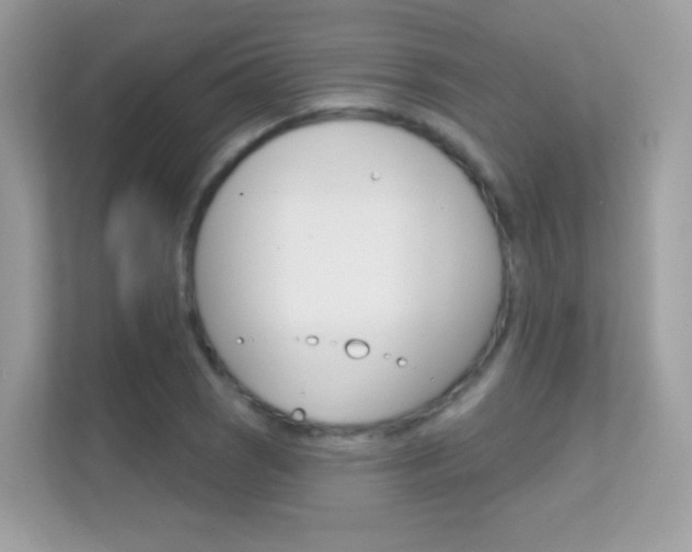 X0000112421121200908141040