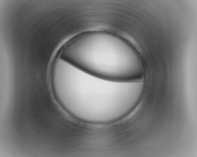 X0000112421122200908141040