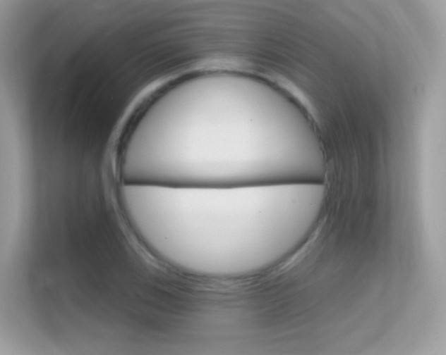 X0000112421123200908141040