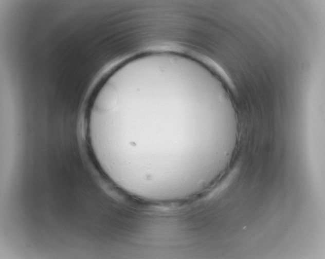 X0000112421125200908141040