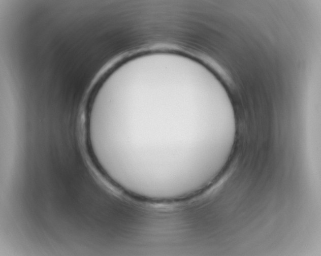 X0000112421126200908141040