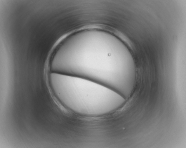 X0000112421127200908141040