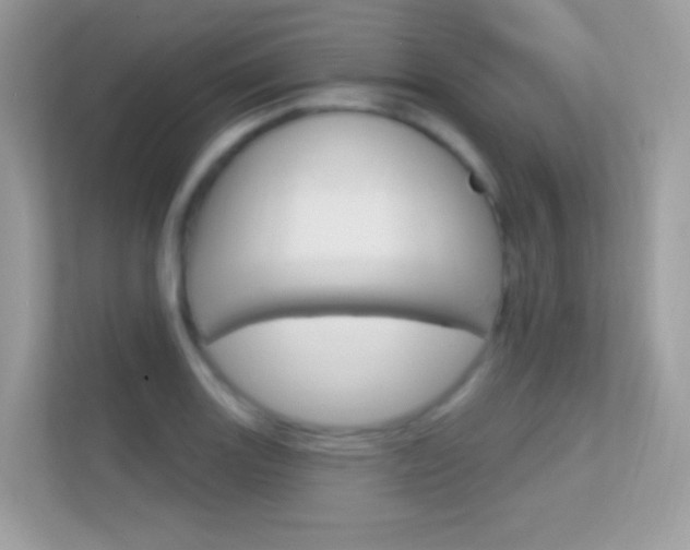 X0000112421131200908141040