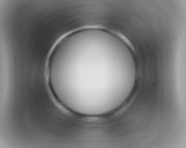 X0000112421132200908141040