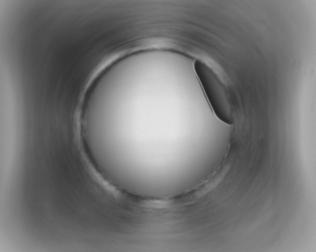 X0000112421134200908141040