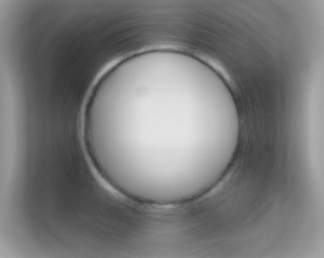 X0000112421135200908141040