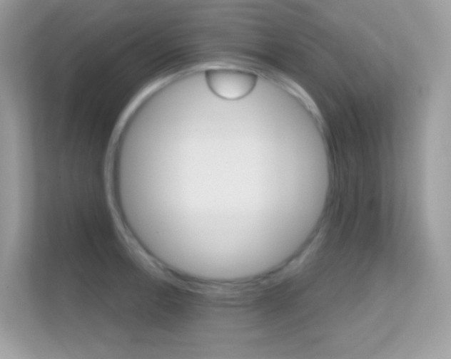 X0000112421138200908141040
