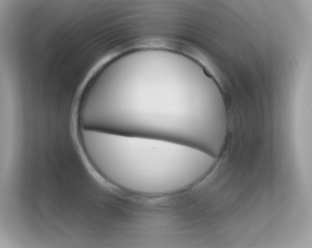 X0000112421139200908141040