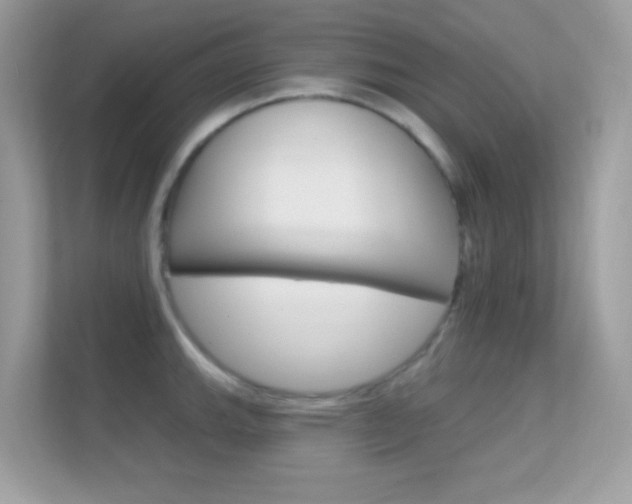 X0000112421143200908141040