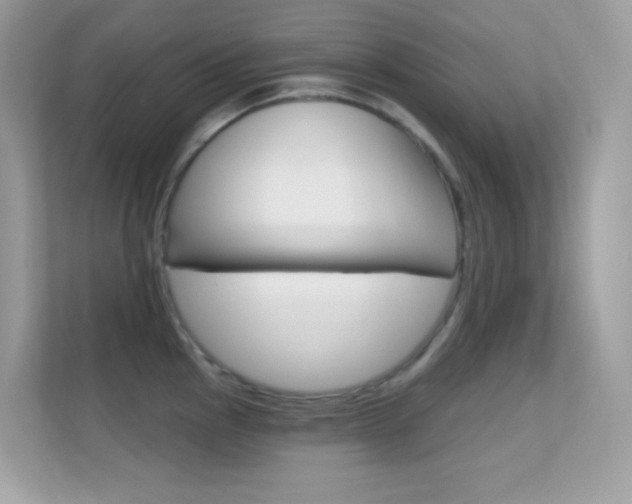 X0000112421145200908141040