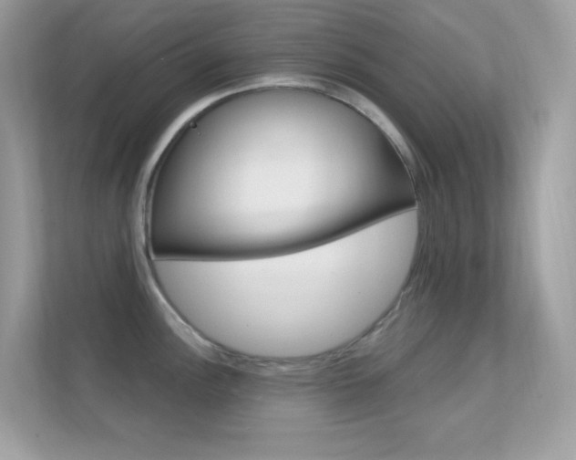 X0000112421148200908141040
