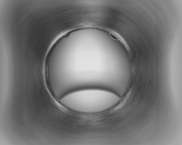 X0000112421149200908141040