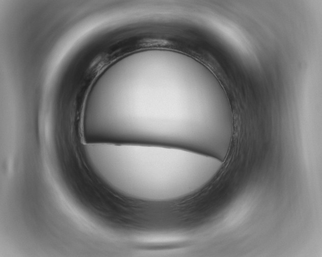 X0000112421151200908141040