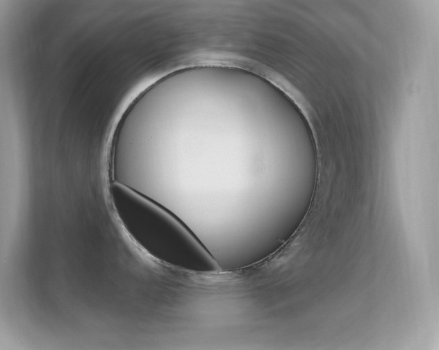 X0000112421152200908141040