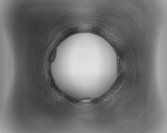 X0000112421153200908141040