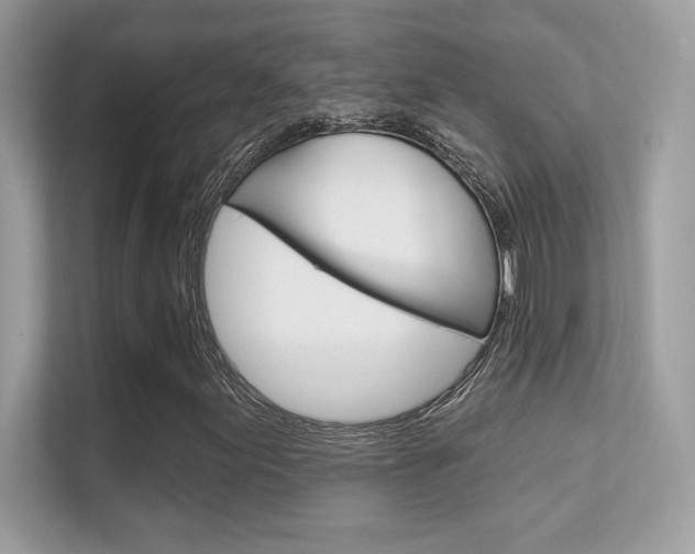 X0000112421155200908141040