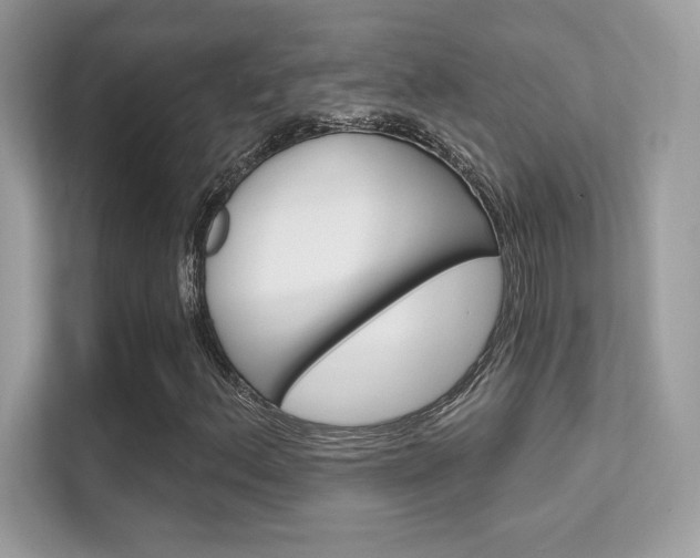 X0000112421156200908141040