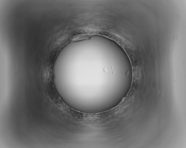 X0000112421157200908141040