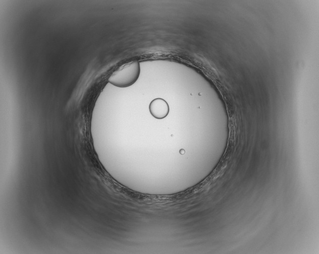 X0000112421158200908141040